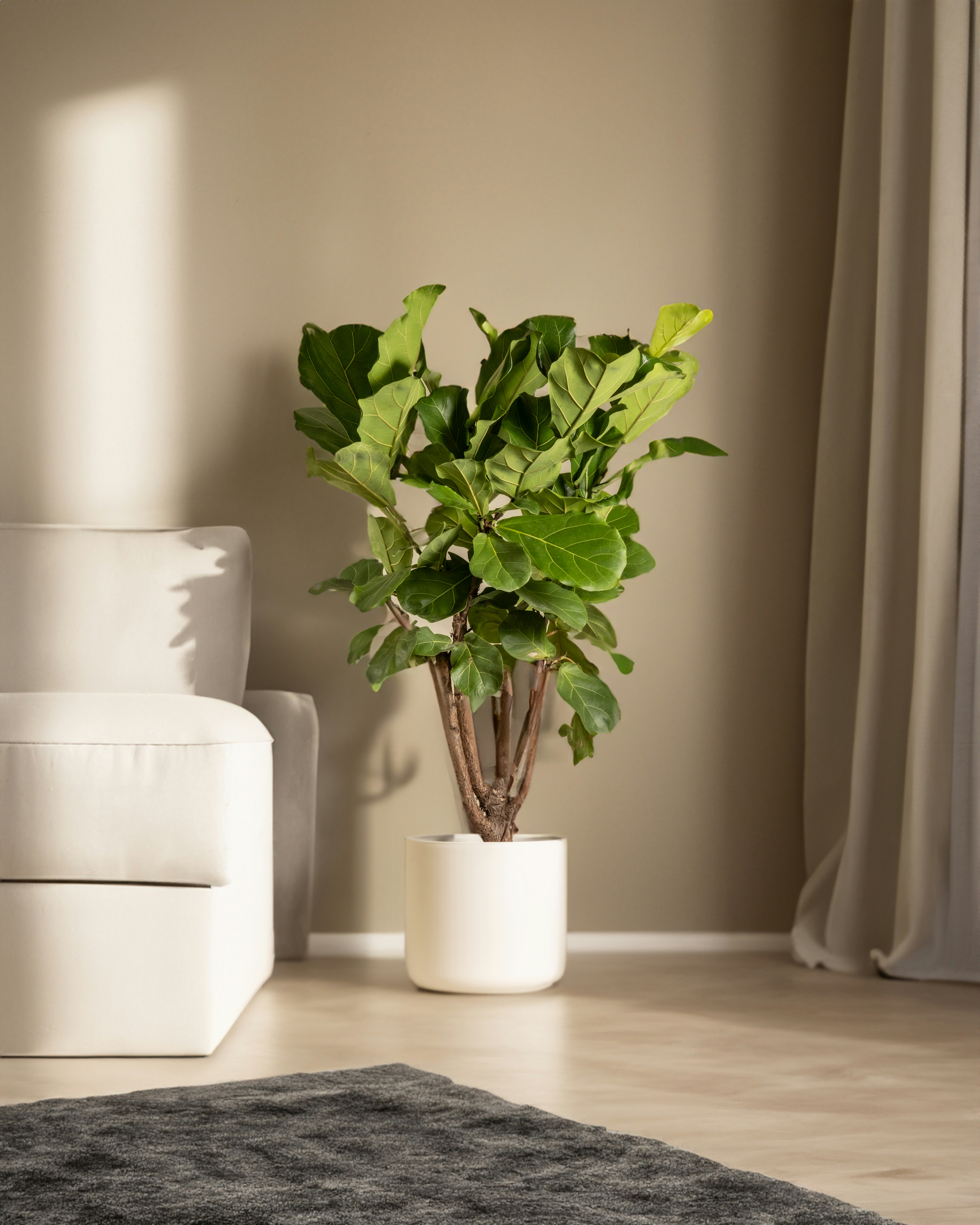 Photo by feeypflanzen