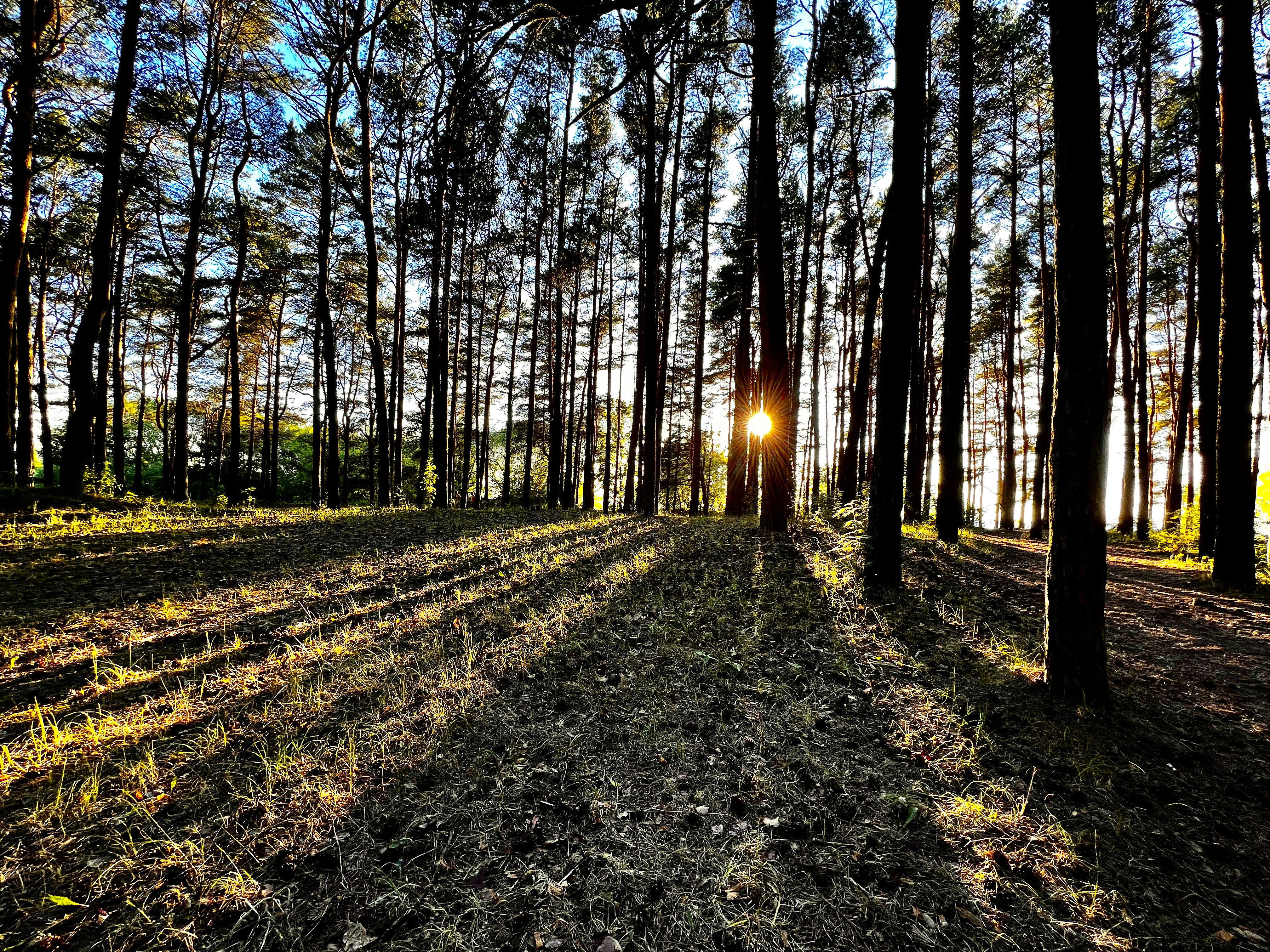 Photo by panevesht