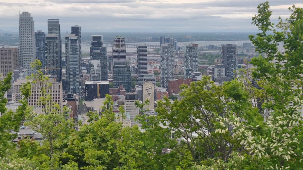 a view of a city from the top of a hill