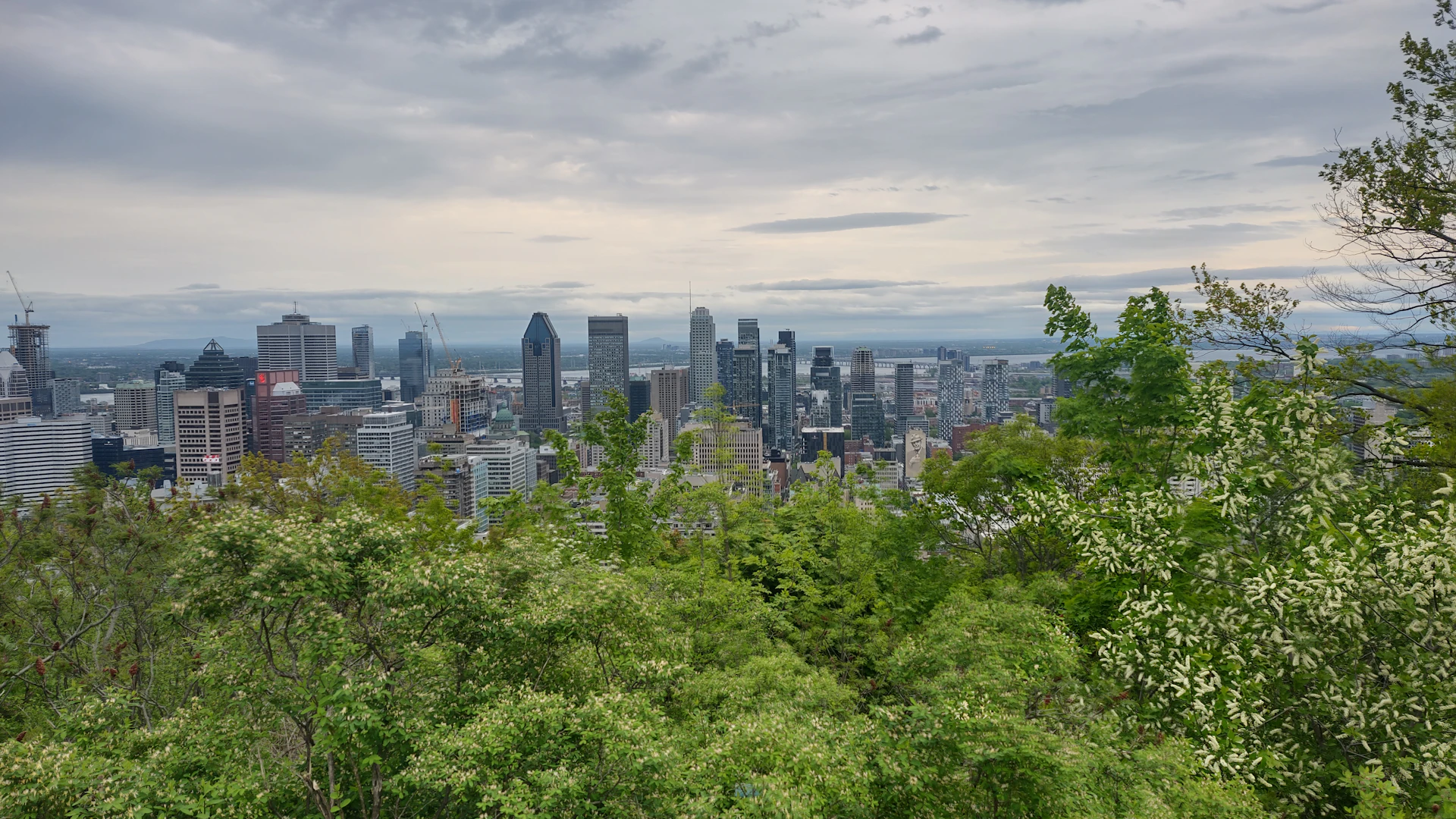 Université de Montréal Physiothérapie: Admissions 2026-2027