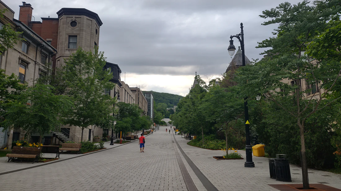 People walking on a downtown street