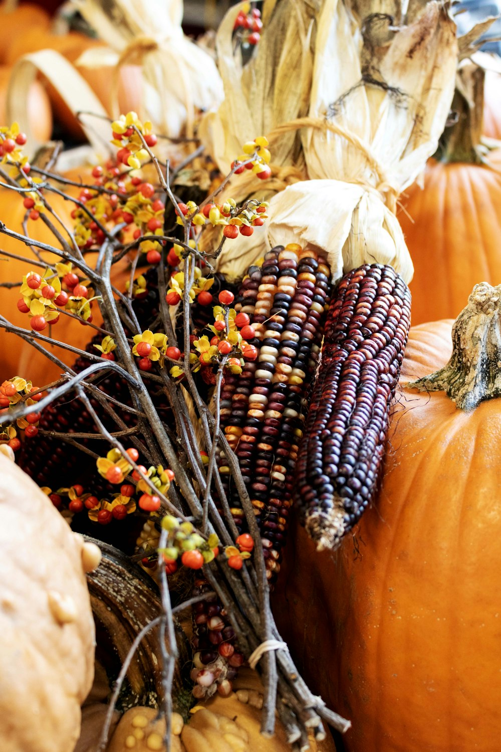 a bunch of pumpkins and corn on a table