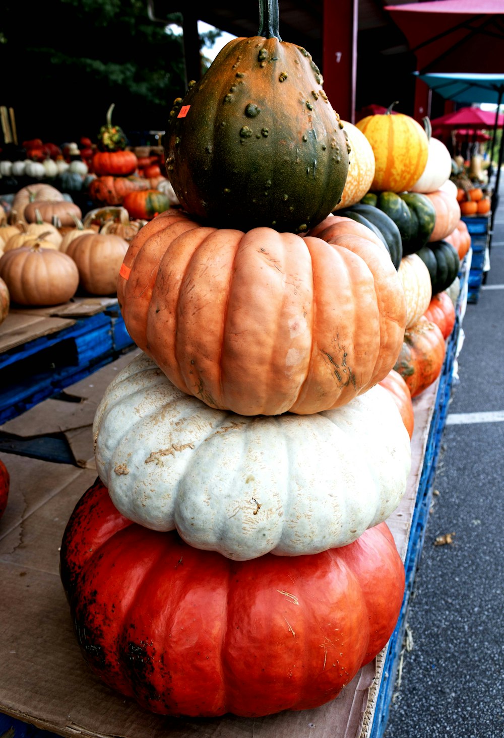 a bunch of pumpkins stacked on top of each other
