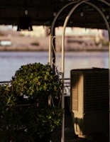 A potted plant with lush green leaves is situated under a metal archway, partially illuminated by soft light. In the background, an industrial air conditioning unit stands adjacent to the plant. The setting suggests an outdoor patio area, with a blurred body of water and distant buildings in the background.