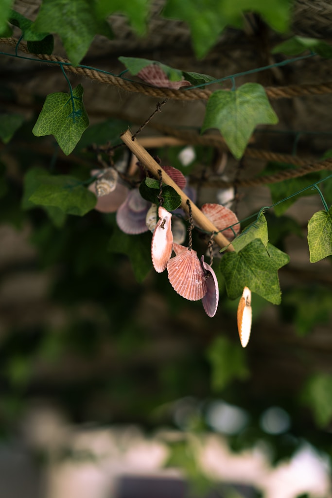 Tide-Kissed Shell Necklace