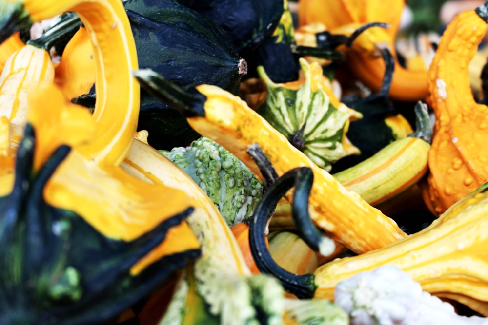 a close up of a bunch of fake gourds