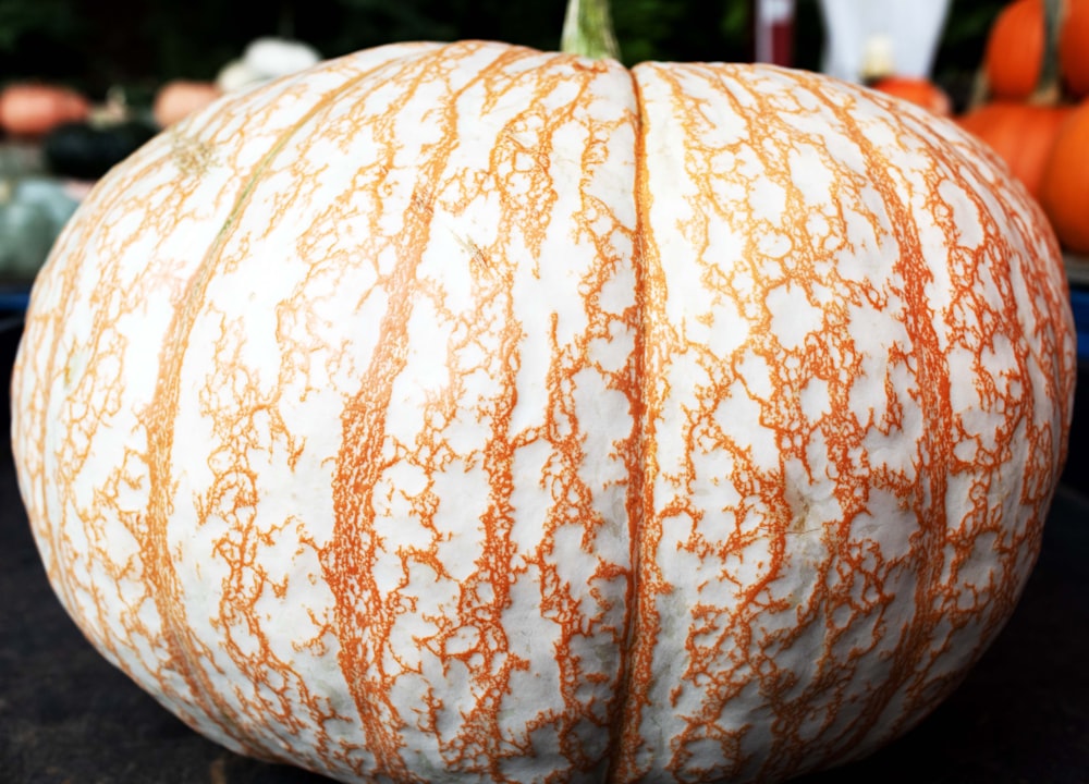 a large white and orange pumpkin sitting on top of a table