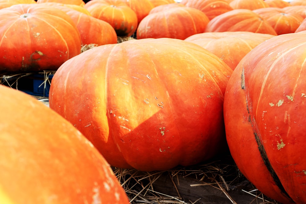 a bunch of pumpkins that are sitting on some hay