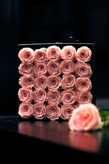 A neatly arranged square box displays multiple rows of soft pink roses, each in full bloom, creating a visually pleasing floral arrangement. The box is placed on a reflective dark surface, and a single rose lies on its side in the foreground, adding depth and focus to the composition.