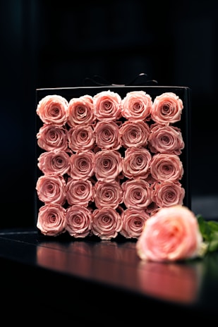 A neatly arranged square box displays multiple rows of soft pink roses, each in full bloom, creating a visually pleasing floral arrangement. The box is placed on a reflective dark surface, and a single rose lies on its side in the foreground, adding depth and focus to the composition.