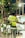 A traffic marshal is standing on the street wearing a bright yellow safety vest with reflective stripes, directing vehicles. The background shows an urban setting with blurred lights and a few cars, and the foreground includes some green foliage.
