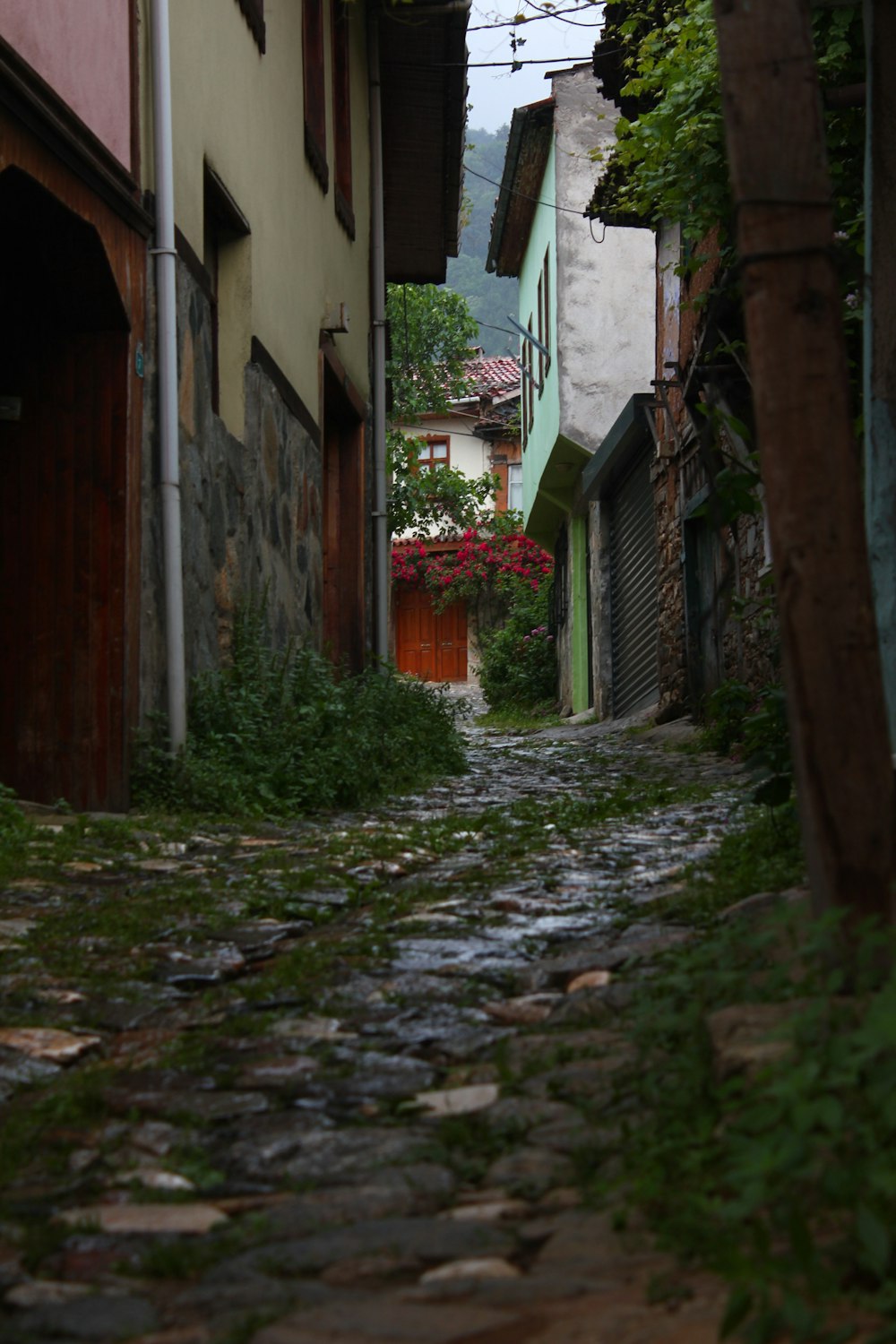 a cobblestone street in a small village