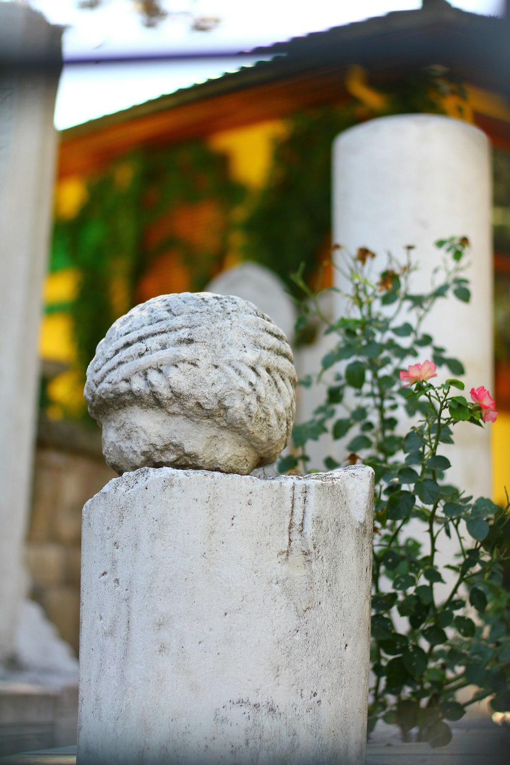 a close up of a stone object near a plant