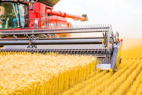 a combine of grain being harvested in a field