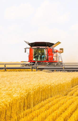 a red combine truck driving through a wheat field