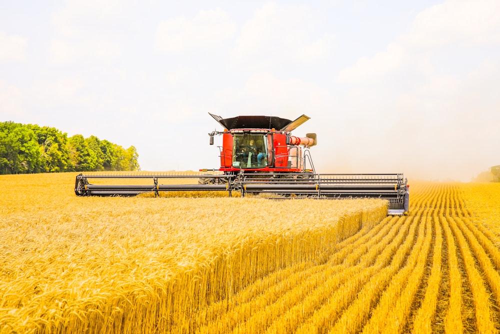 a red combine truck driving through a wheat field