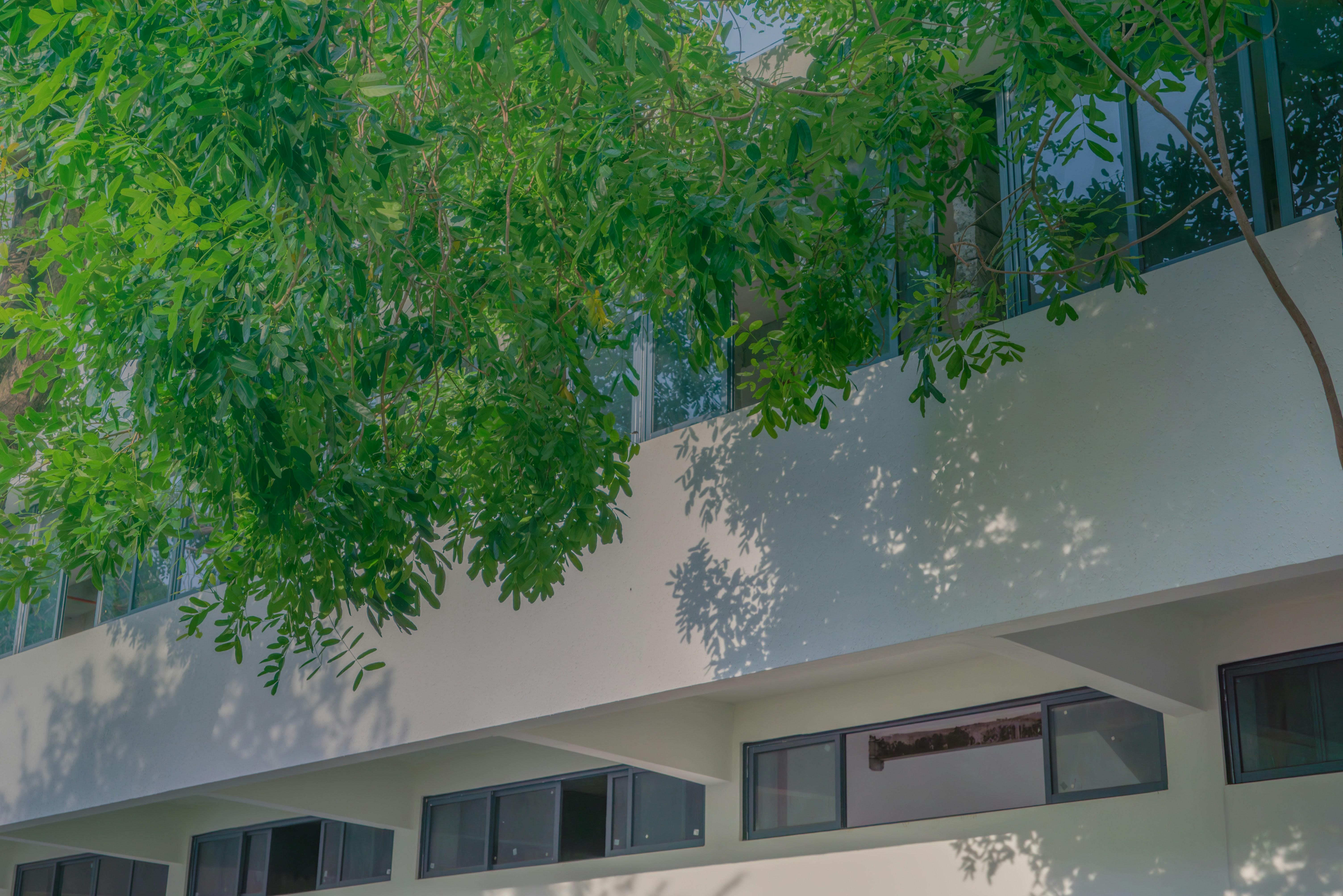 Photo by wangbinghua