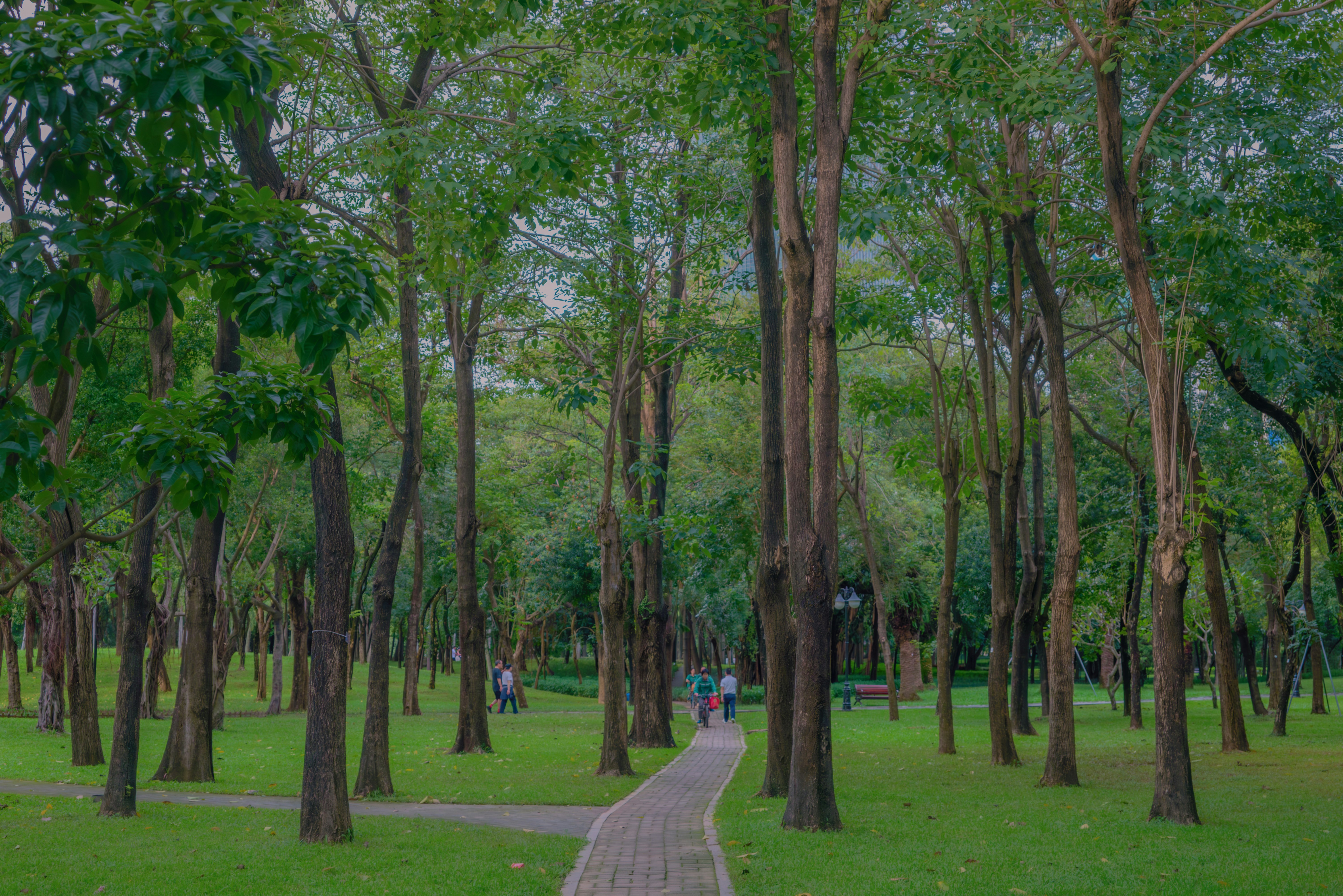 Photo by wangbinghua