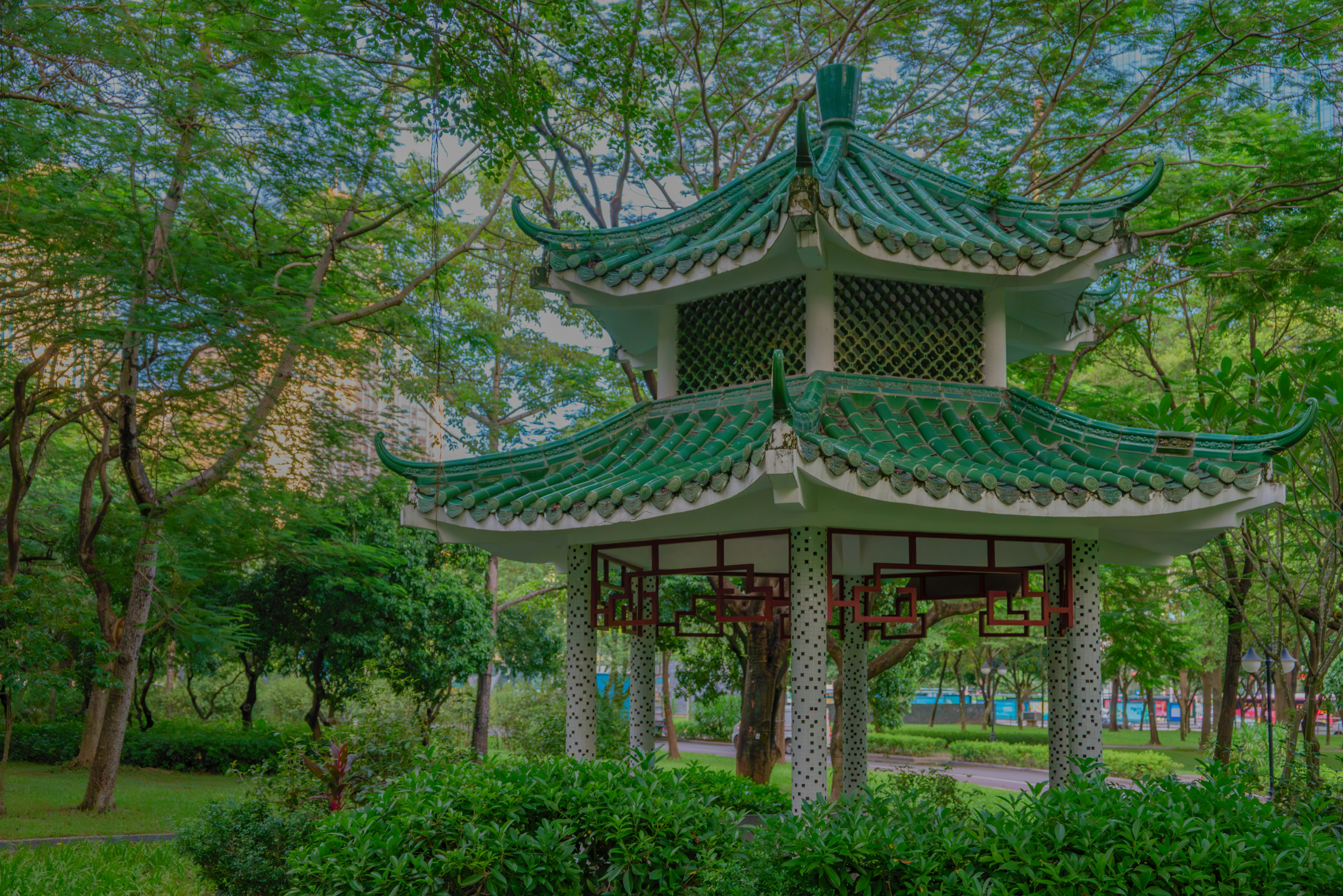 Photo by wangbinghua
