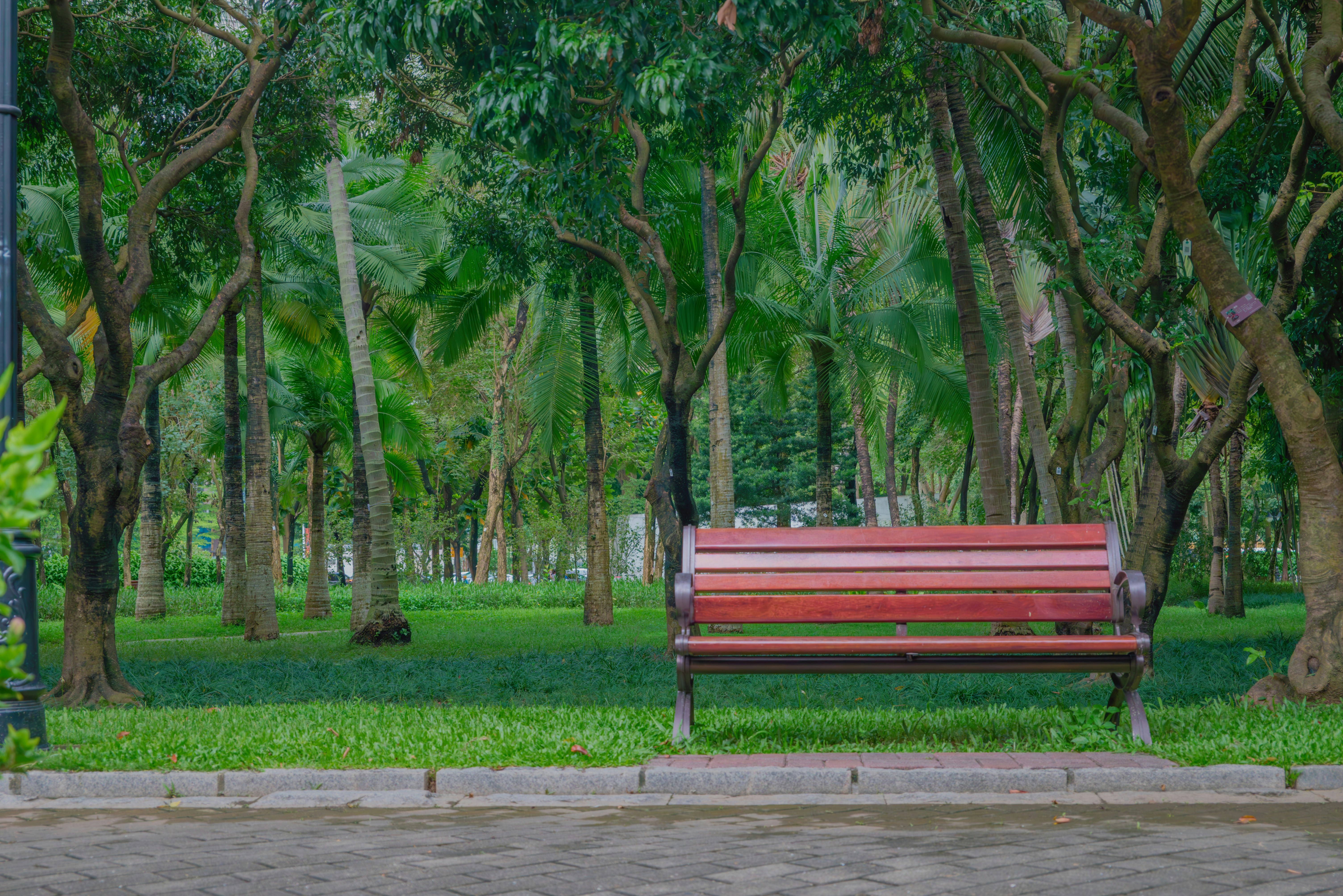 Photo by wangbinghua