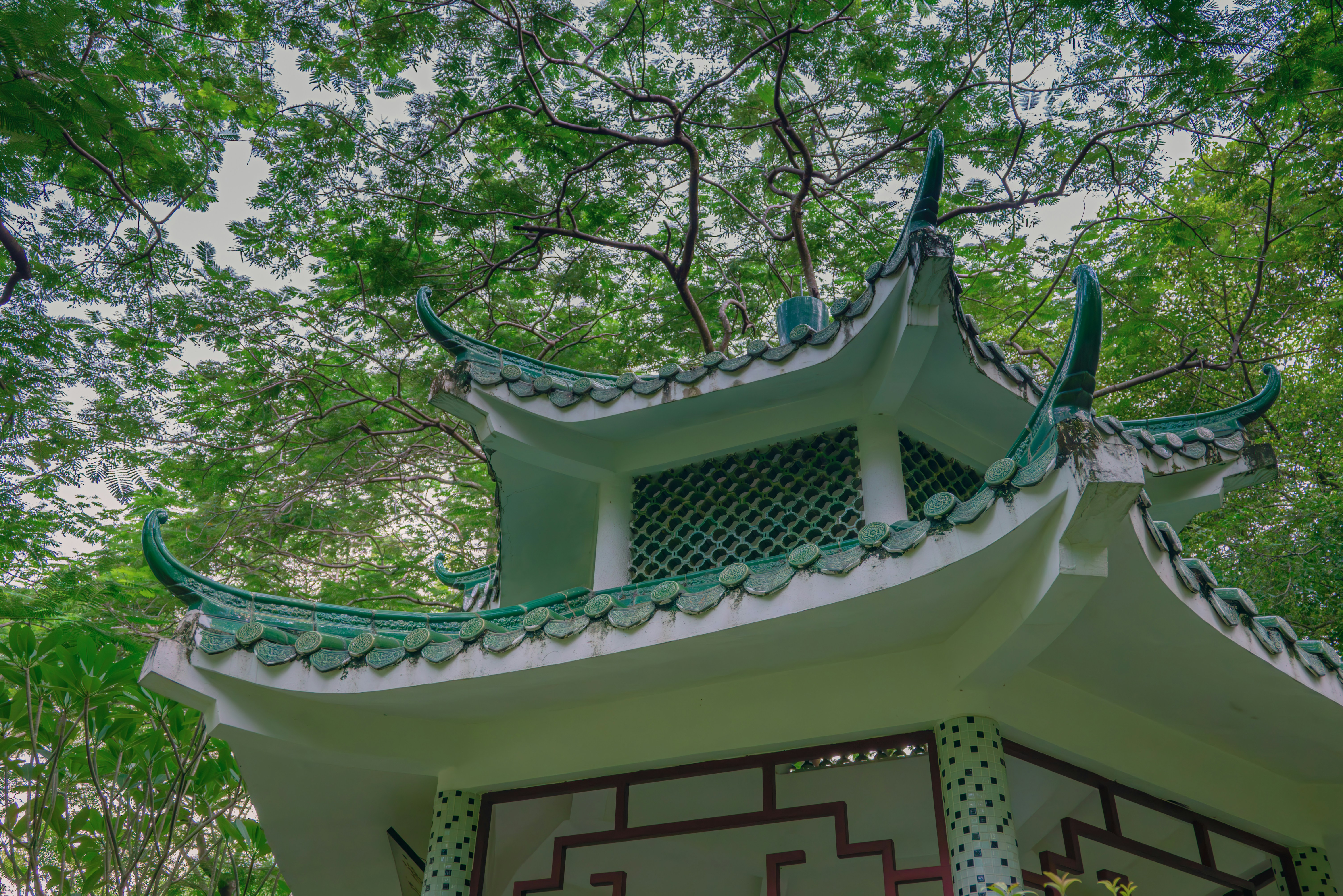 Photo by wangbinghua