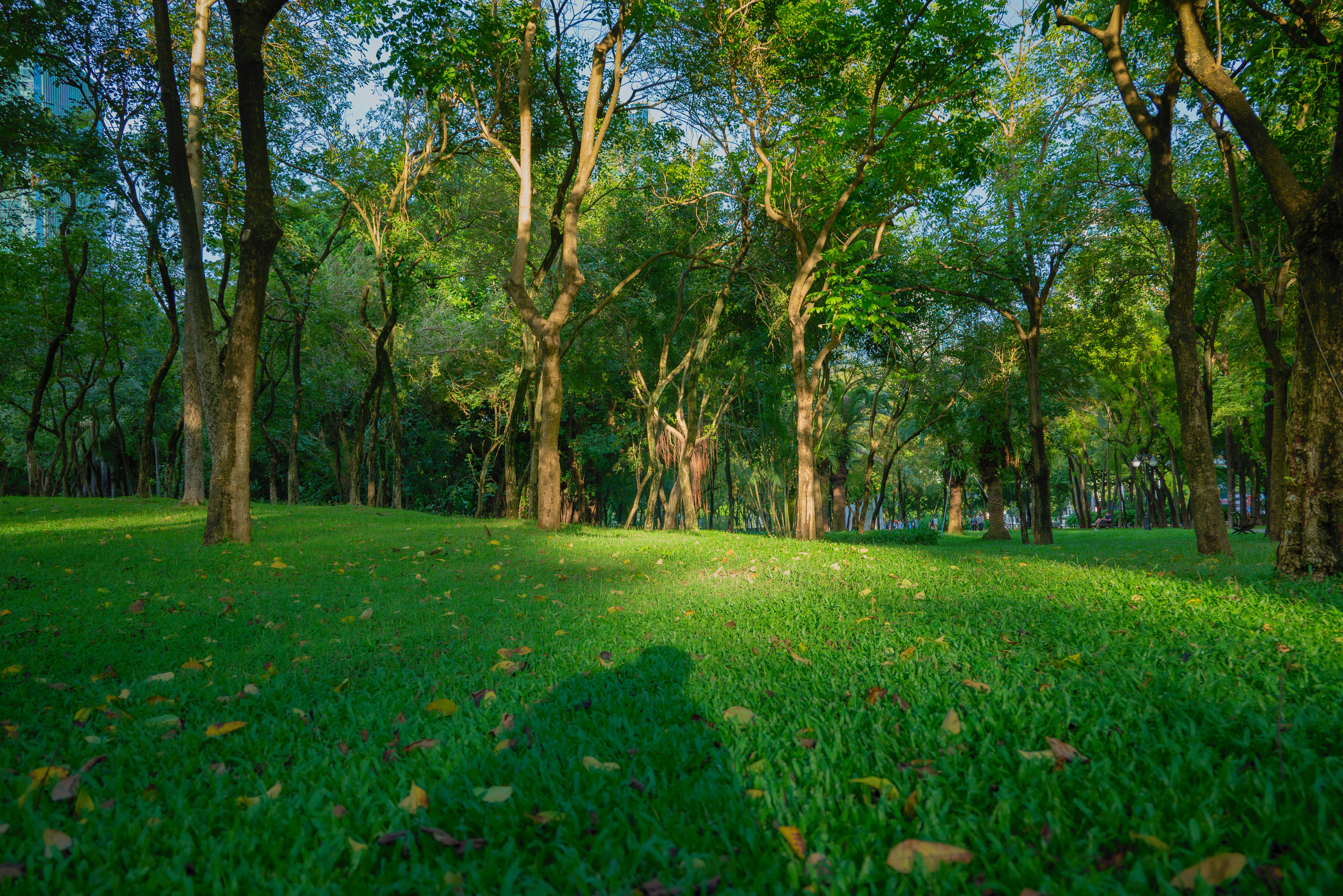 Photo by wangbinghua