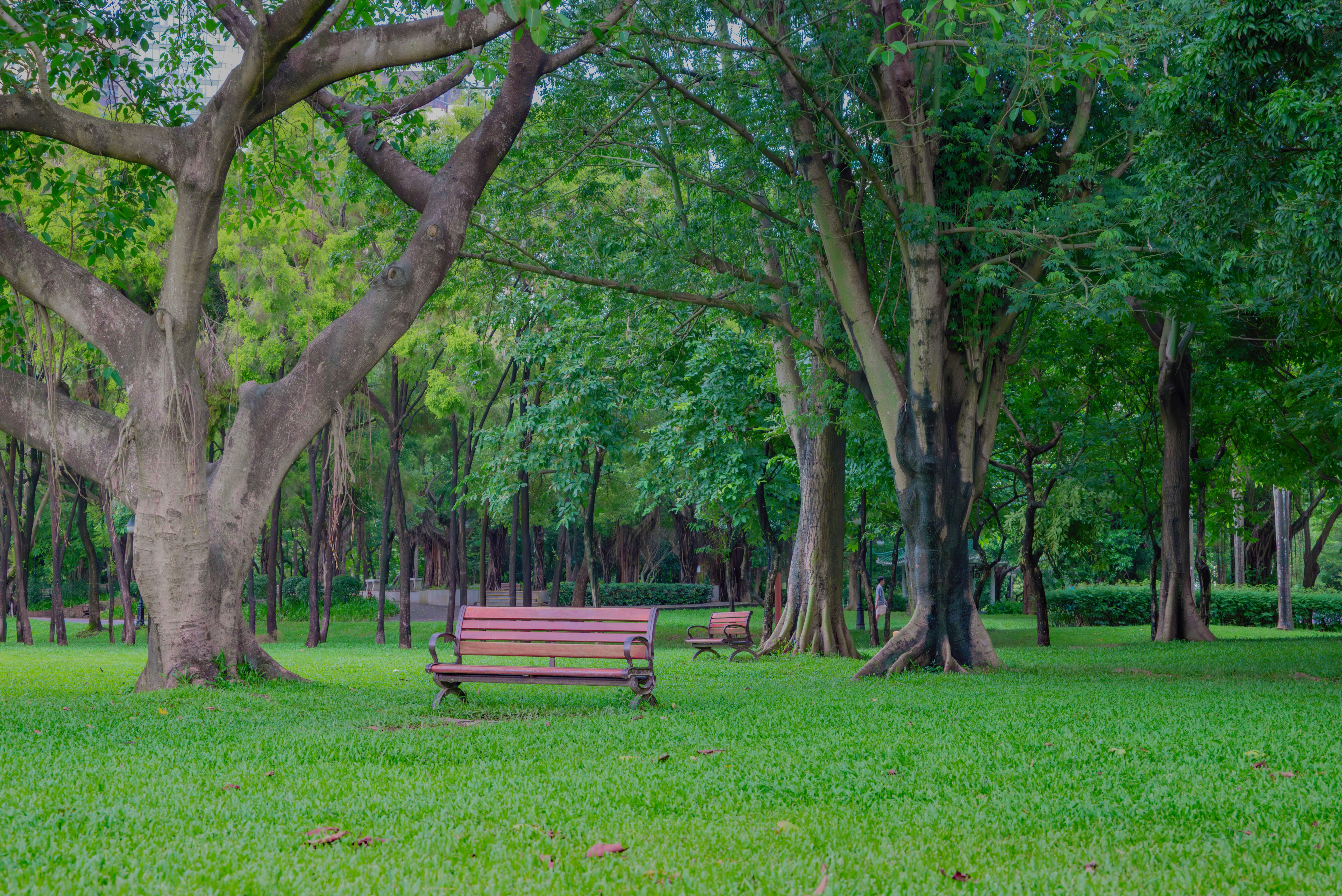 Photo by wangbinghua