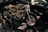 A custom-built motorcycle with polished metal components and intricate detailing, highlighted under soft lighting. The motorcycle features a shiny chrome engine, intricately designed exhaust pipes, and a light tan leather seat.