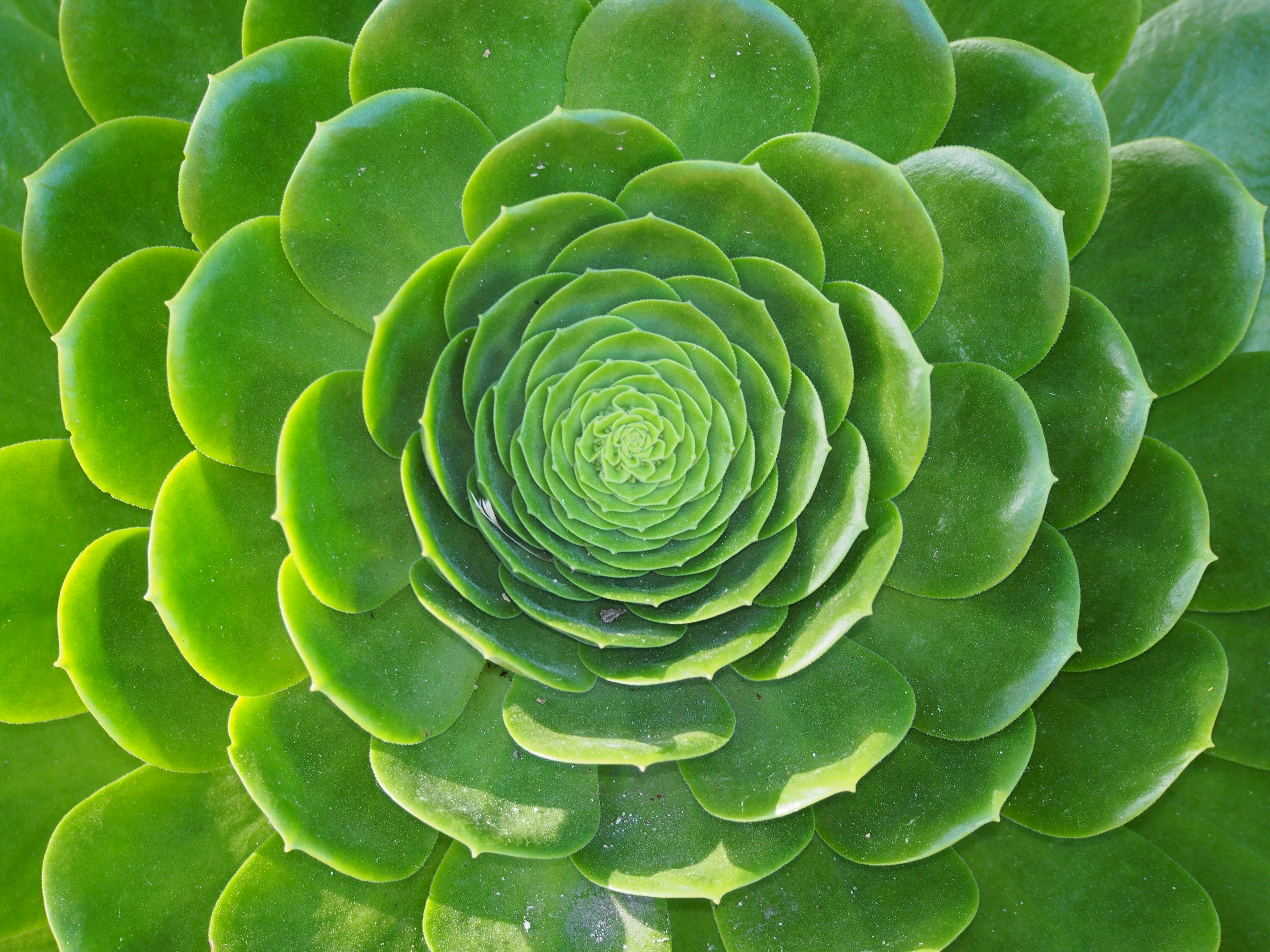 Photo by delassusdesign