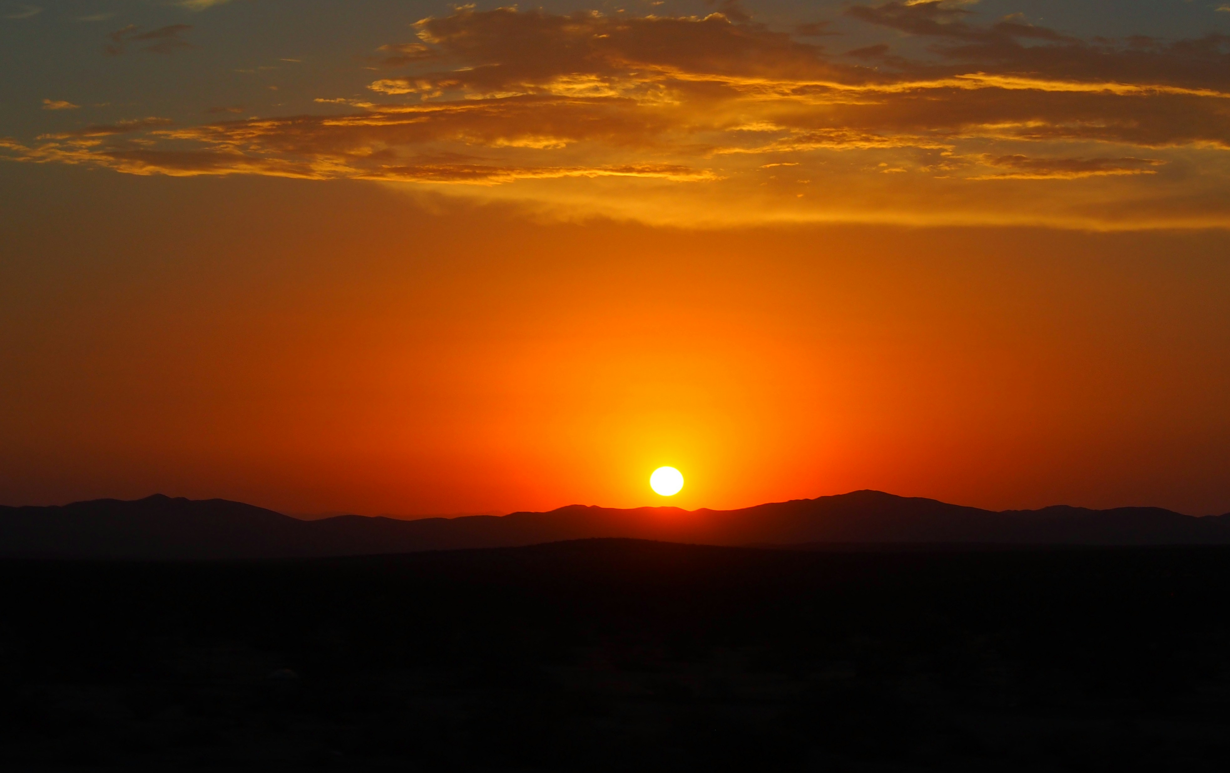 Photo by delassusdesign