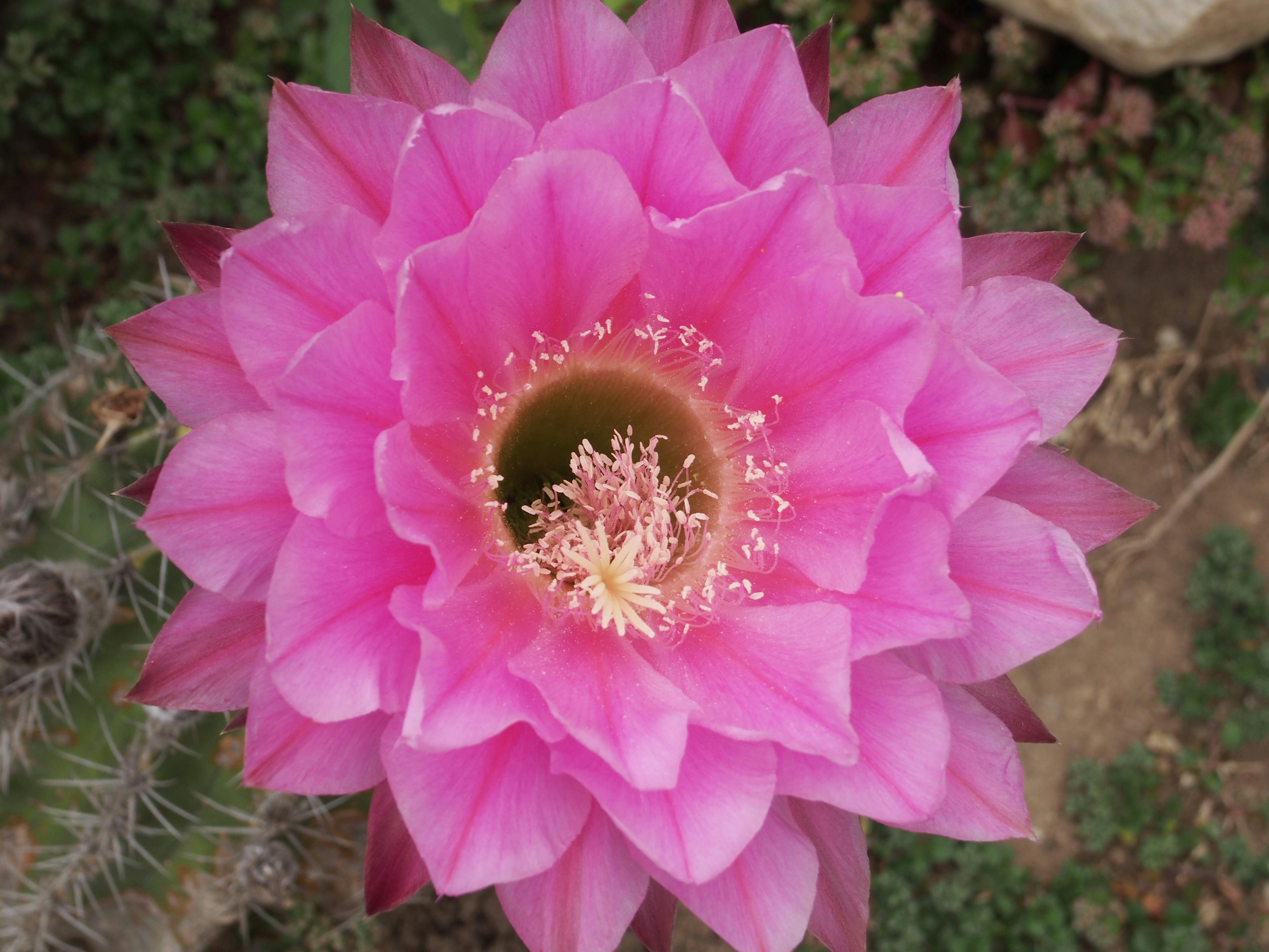 Photo by delassusdesign