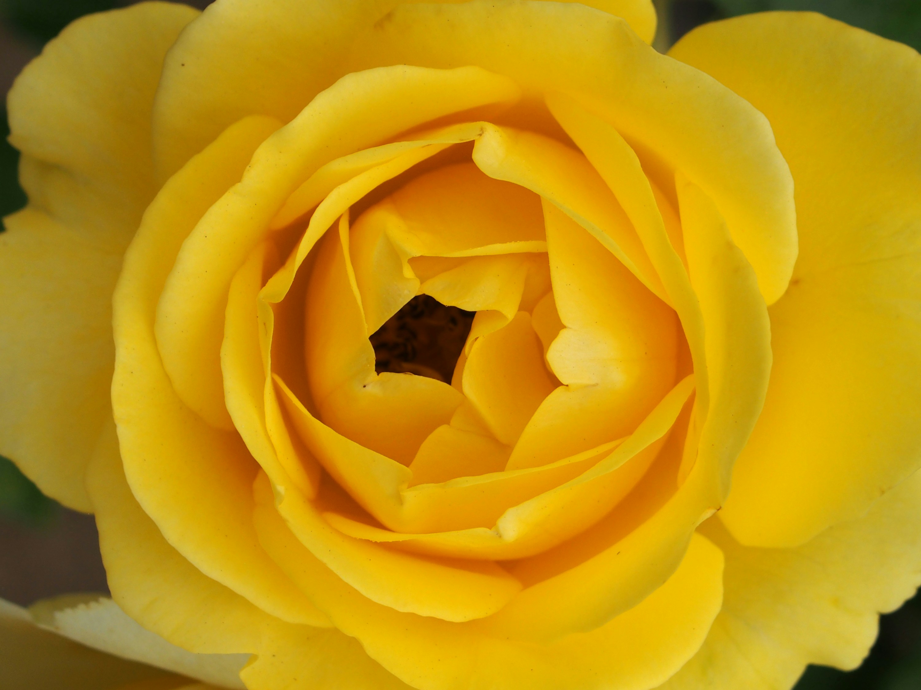 Photo by delassusdesign