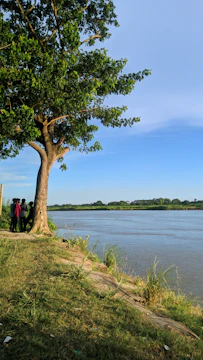 Community members planting trees along a riverbank to protect the environment.