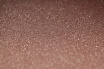 Close-up of a holographic Charizard card shimmering under a bright light.