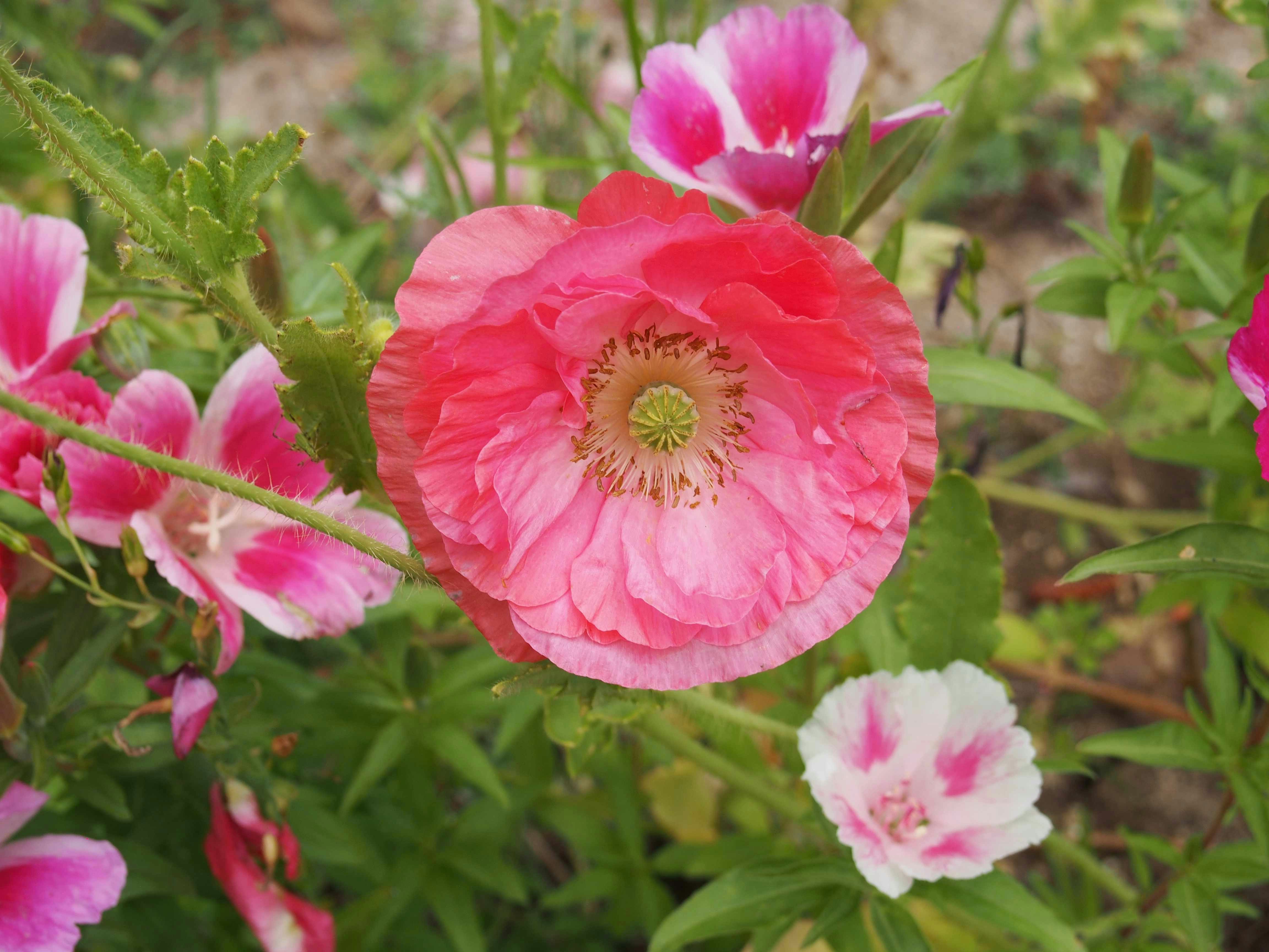 Photo by delassusdesign