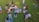 A group of people are gathered on a grassy area, each standing on colorful prayer rugs. They are positioned in rows, engaged in prayer. The scene appears serene and orderly, suggesting a communal activity or event.