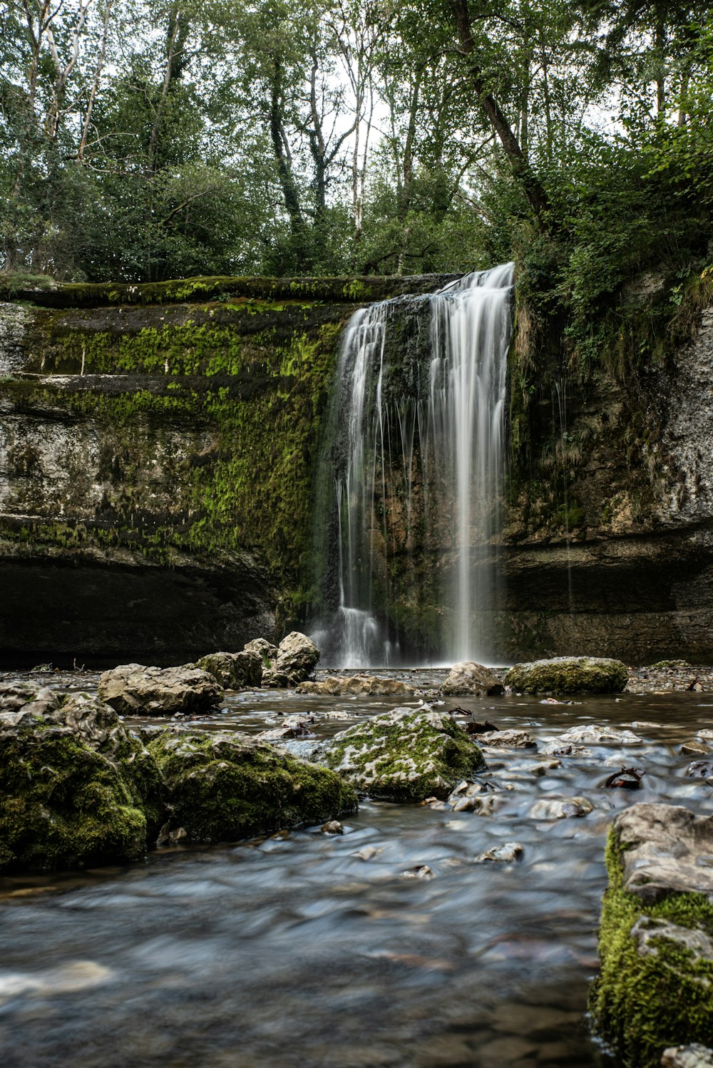 a small waterfall in the middle of a forest