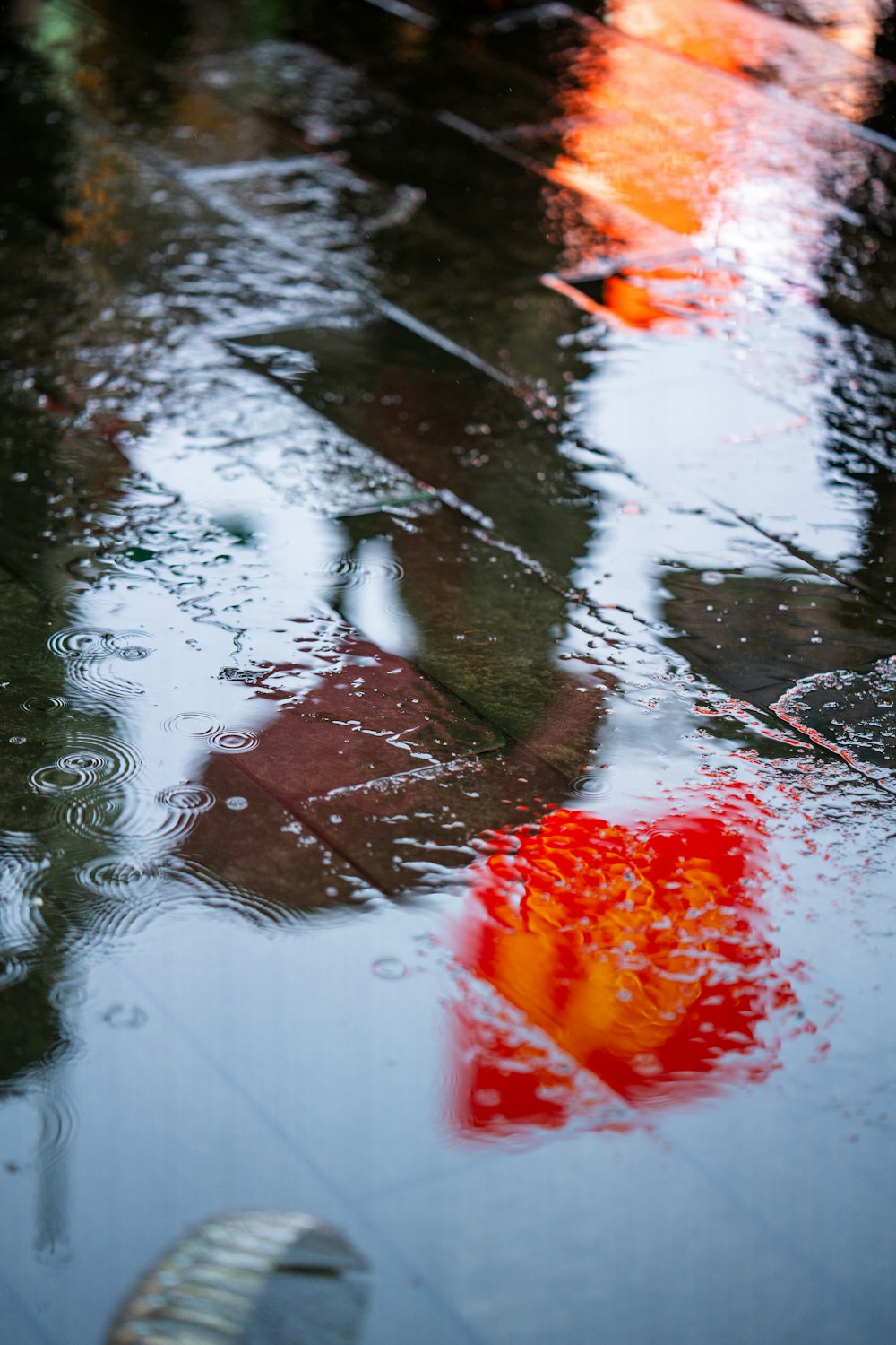 a reflection of a red flower in a puddle of water
