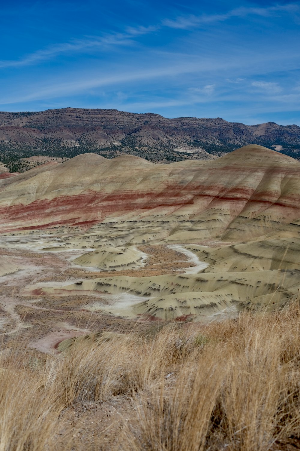 a view of a valley with hills in the background