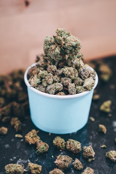 A light blue container filled with green and brown herbal buds, likely cannabis, is placed on a dark surface with more buds scattered around.