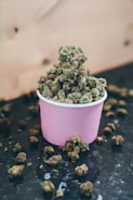 A purple paper cup filled with green cannabis buds is placed on a dark surface. Additional buds are scattered around the cup, and a light wooden background is visible.