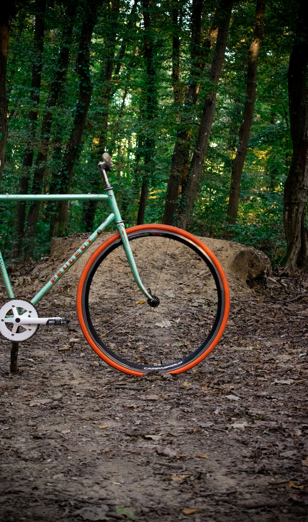 a bike parked in the middle of a forest