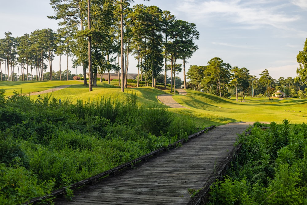 a wooden walkway leading to a green golf course