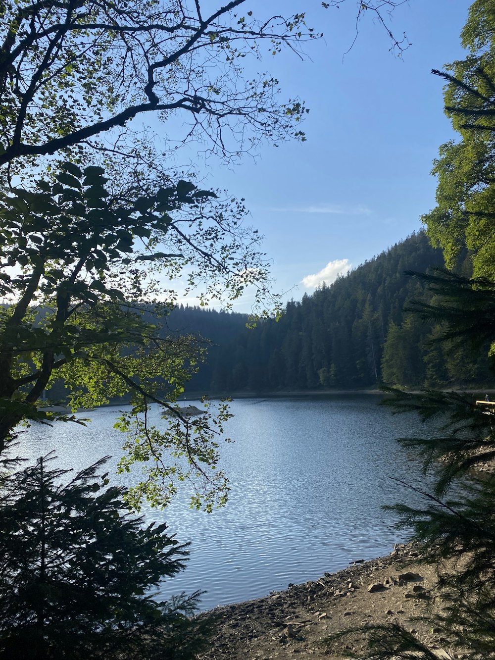 a large body of water surrounded by trees