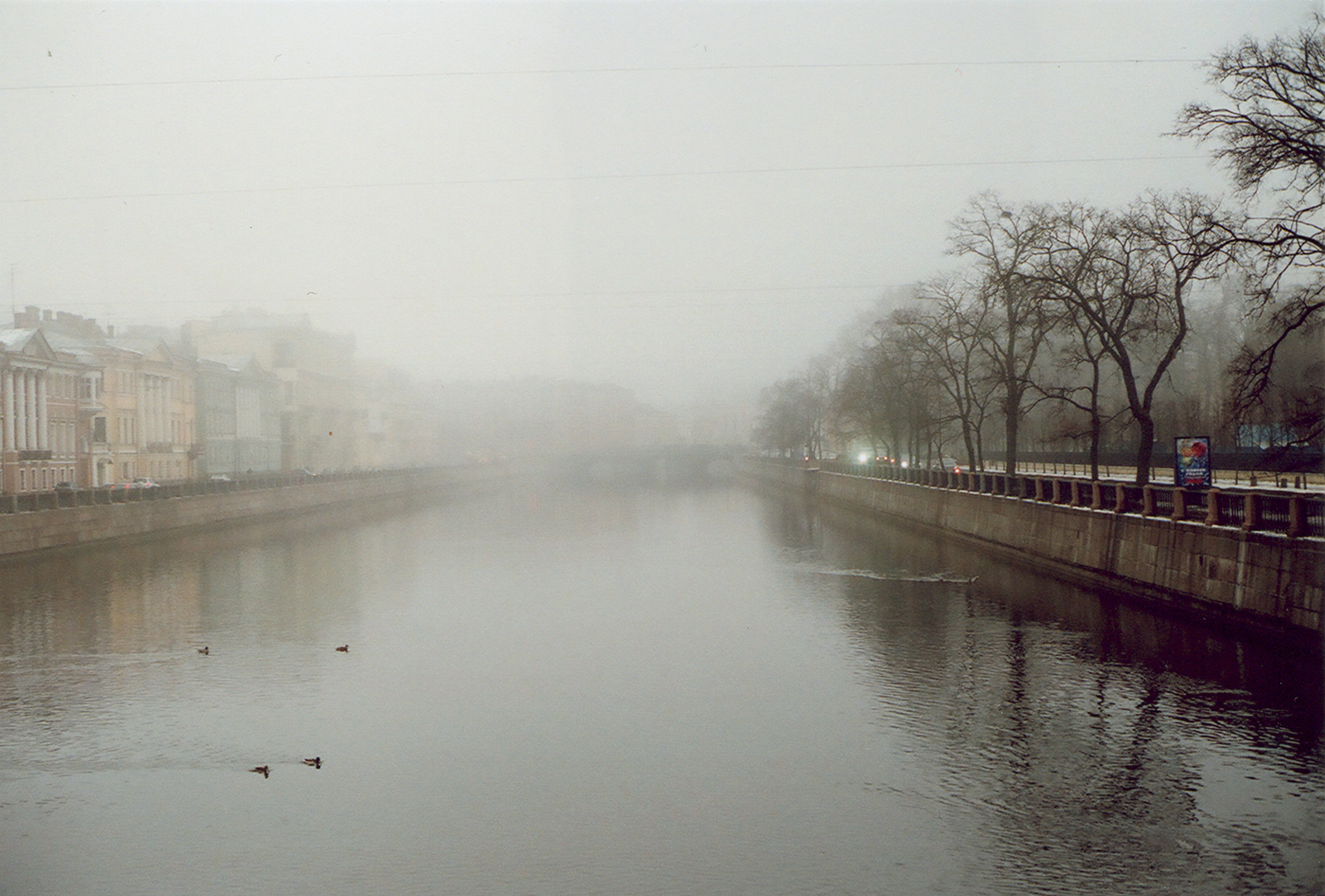 Photo by alyonachip