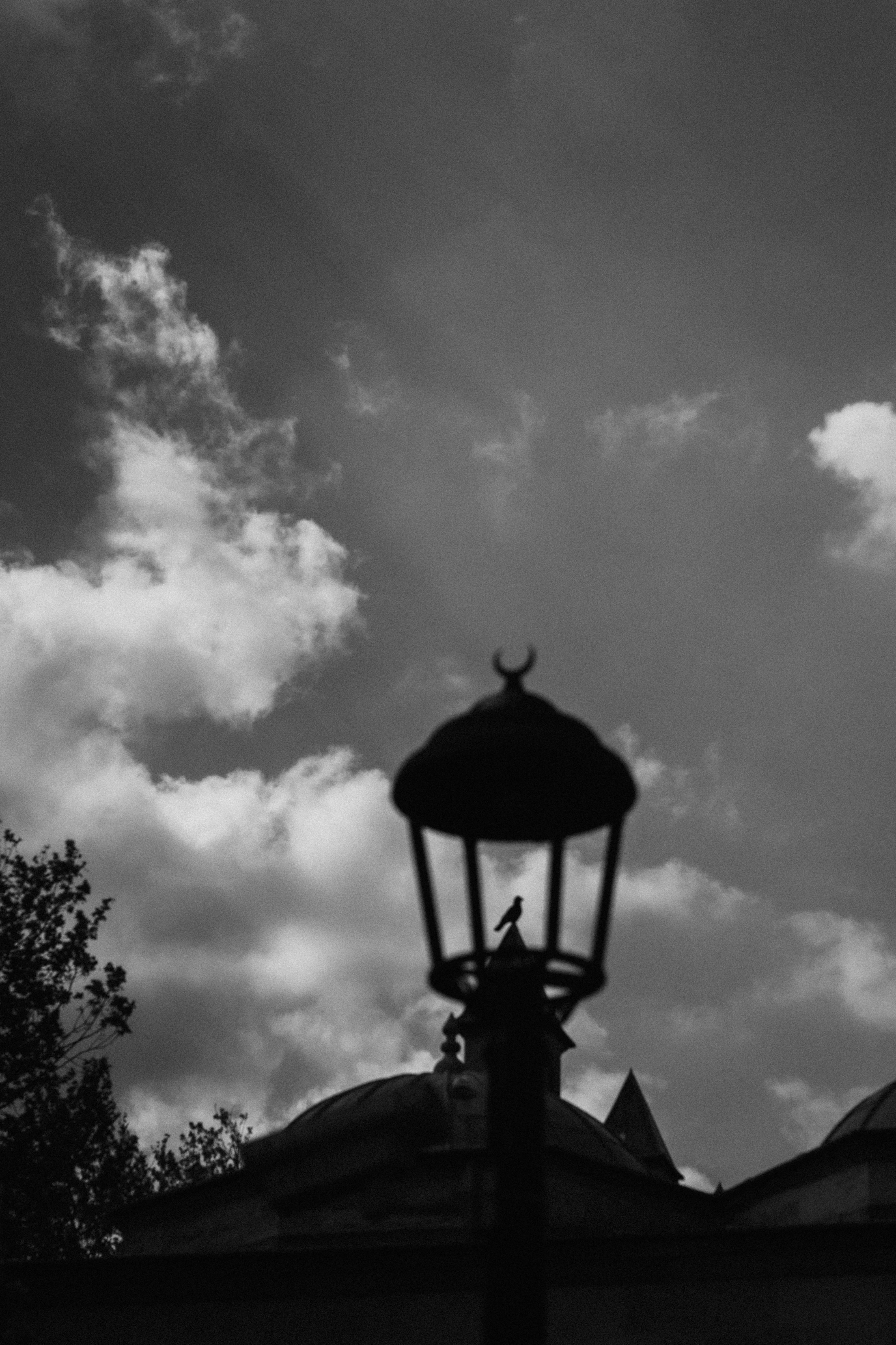 Photo by amirreza_momennia