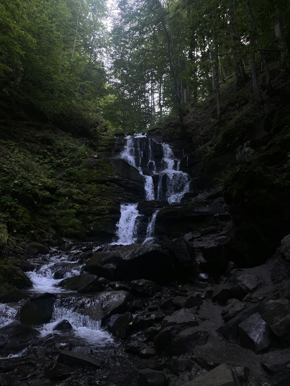 a small waterfall in the middle of a forest