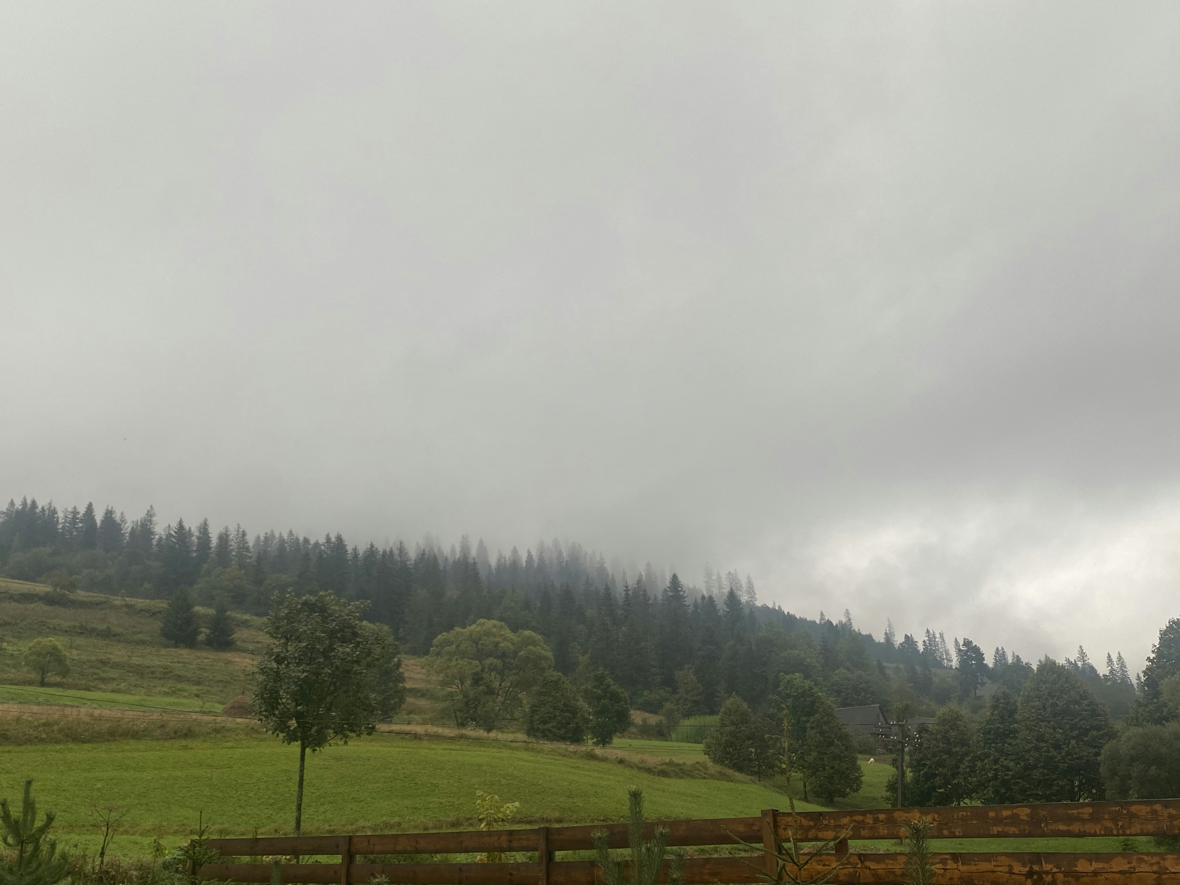 Photo by sharp000000