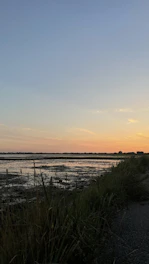 A warm, golden-hour shot of a photographer capturing the marshlands of the Carolina Low Country.