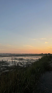 A warm, golden-hour shot of a photographer capturing the marshlands of the Carolina Low Country.